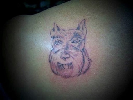 Schnauzer (Before)